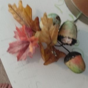 A cute festive leaves